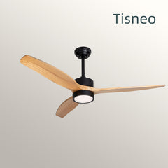 ceiling fan DC motor 6 speed remote control modern led ceiling fan
