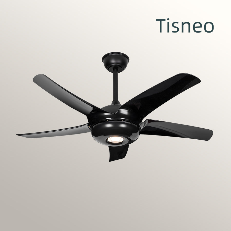 China Factory new arrival 12inch bldc ceiling fan indoor mini ceiling fans