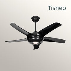 China Factory new arrival 12inch bldc ceiling fan indoor mini ceiling fans
